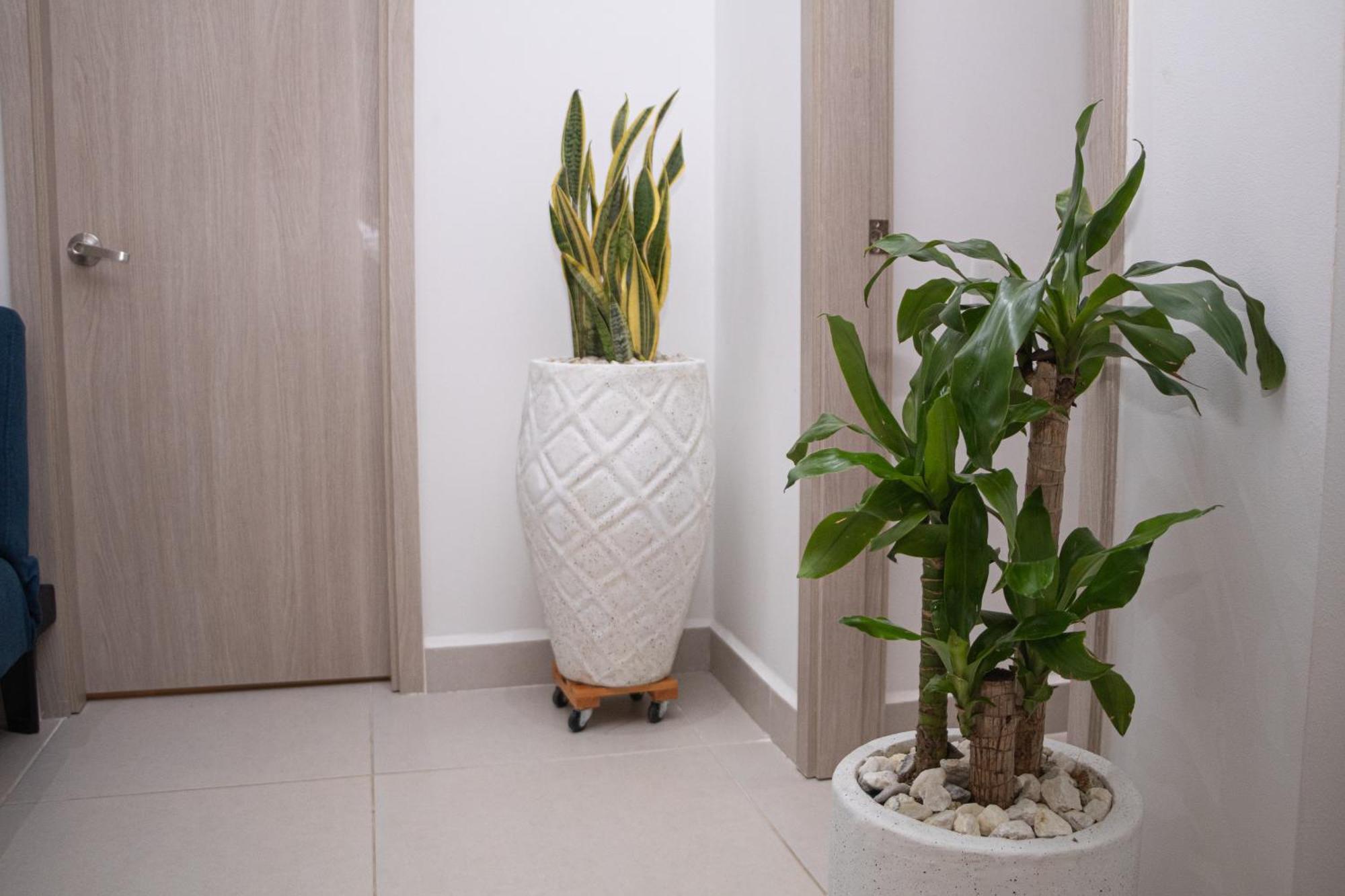 Apartamento De Lujo Frente Al Mar Con Piscina Cartagena 외부 사진